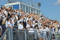 Picture1